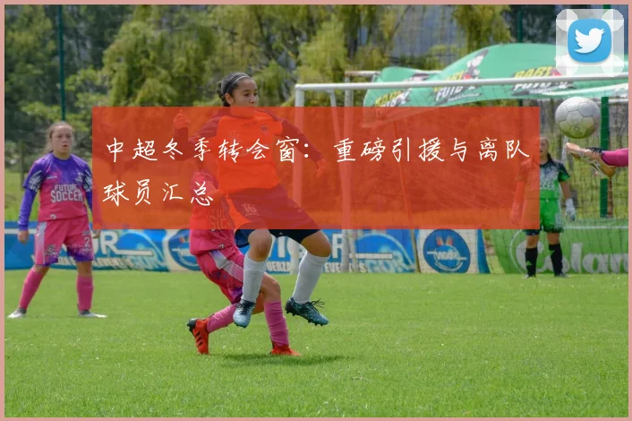 中超冬季转会窗：重磅引援与离队球员汇总